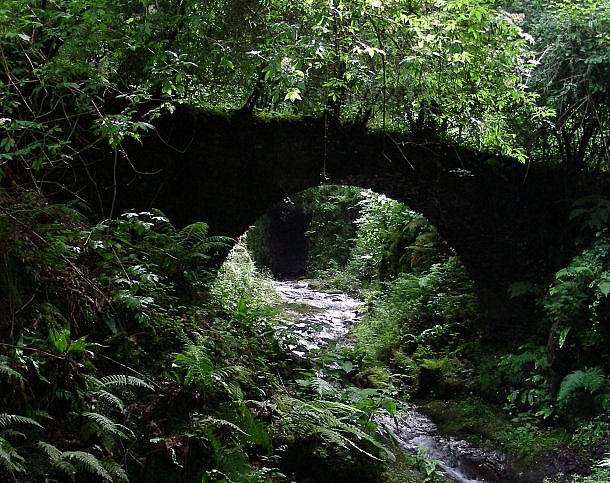 il ponte di zinebra