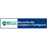 Banca Versilia Lunigiana e Garfagnana